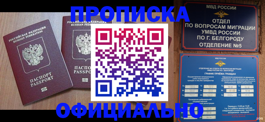 найти адрес прописки в Белгородской области